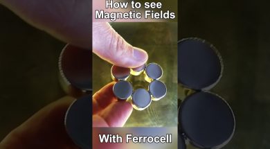 Ferrocell to see the Magnetic Fields