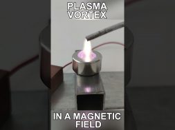 Plasma Vortex in Slow Motion