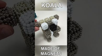 Magnetic Koala