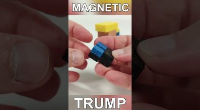 Magnetic Trump