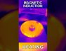 The Power of Magnetic Induction