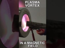 Double Plasma Vortex