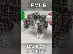 Magnetic Lemur