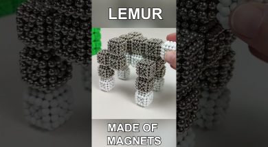 Magnetic Lemur