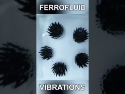 Ferrofluid Vibrations