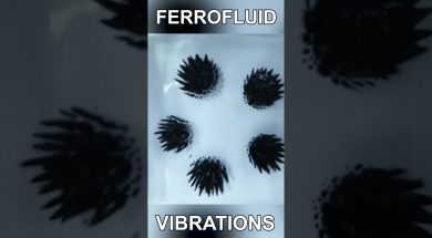 Ferrofluid Vibrations