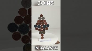 Coins in Magnetic Balance