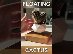 Floating Cactus